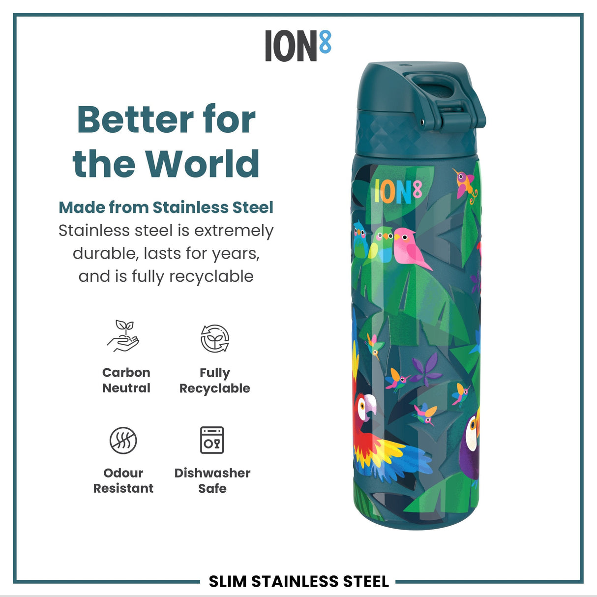 ION8 Leak Proof Slim Water Bottle, Stainless Steel, Exotic Birds, 600ml (20oz)
