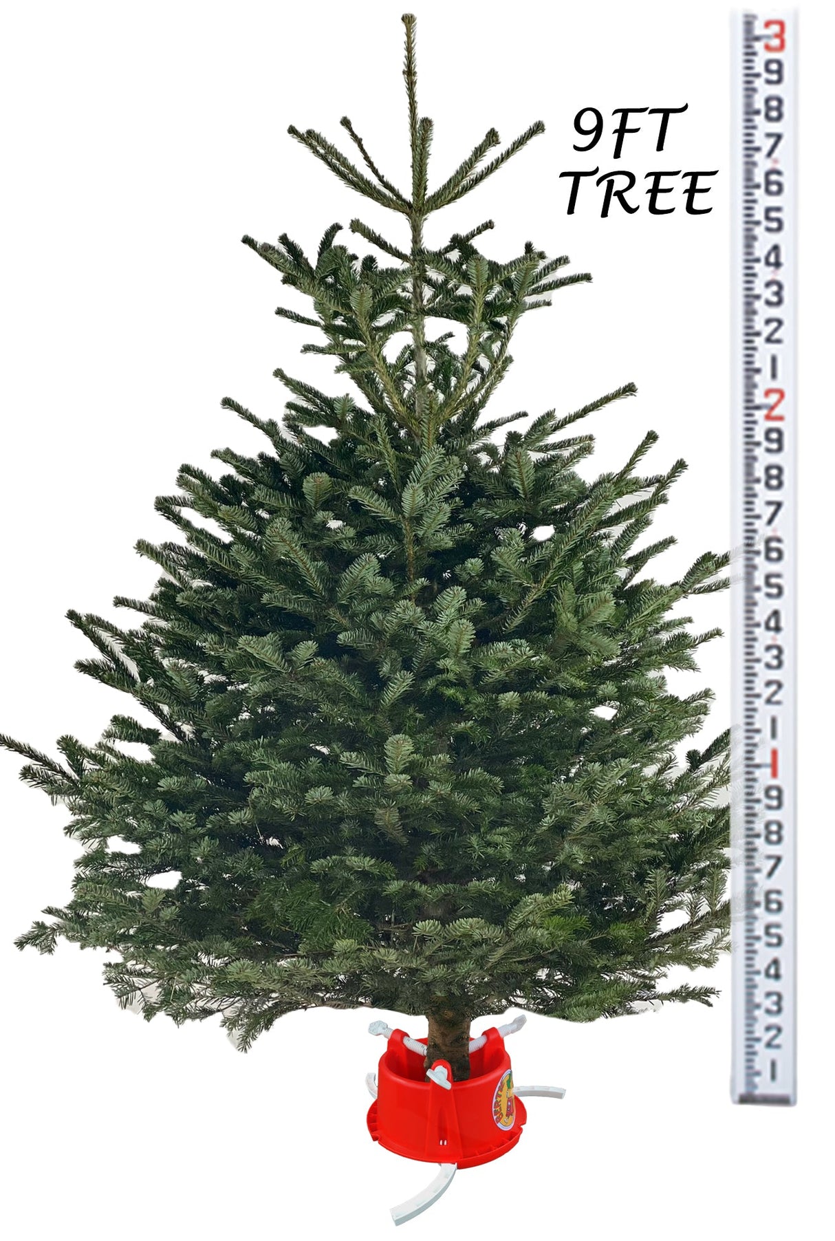 Bertie Christmas Tree Stand with Water Reservoir | Etree