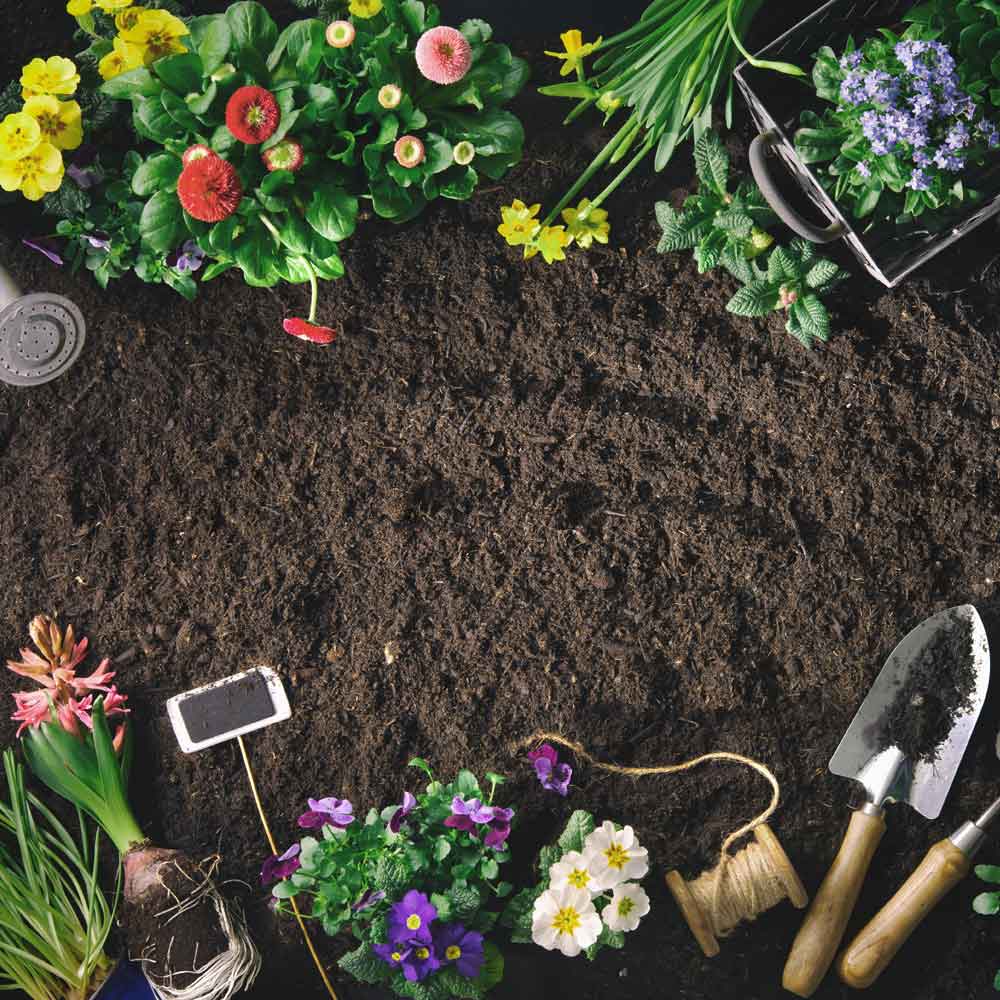 Dandy’s Bordermix® Welsh Topsoil for plants and flowers