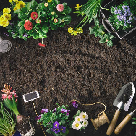 Dandy’s Bordermix® Welsh Topsoil for plants and flowers