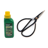 Basic Bonsai Care Kit | Essential Tools Set by Yorkshire Bonsai