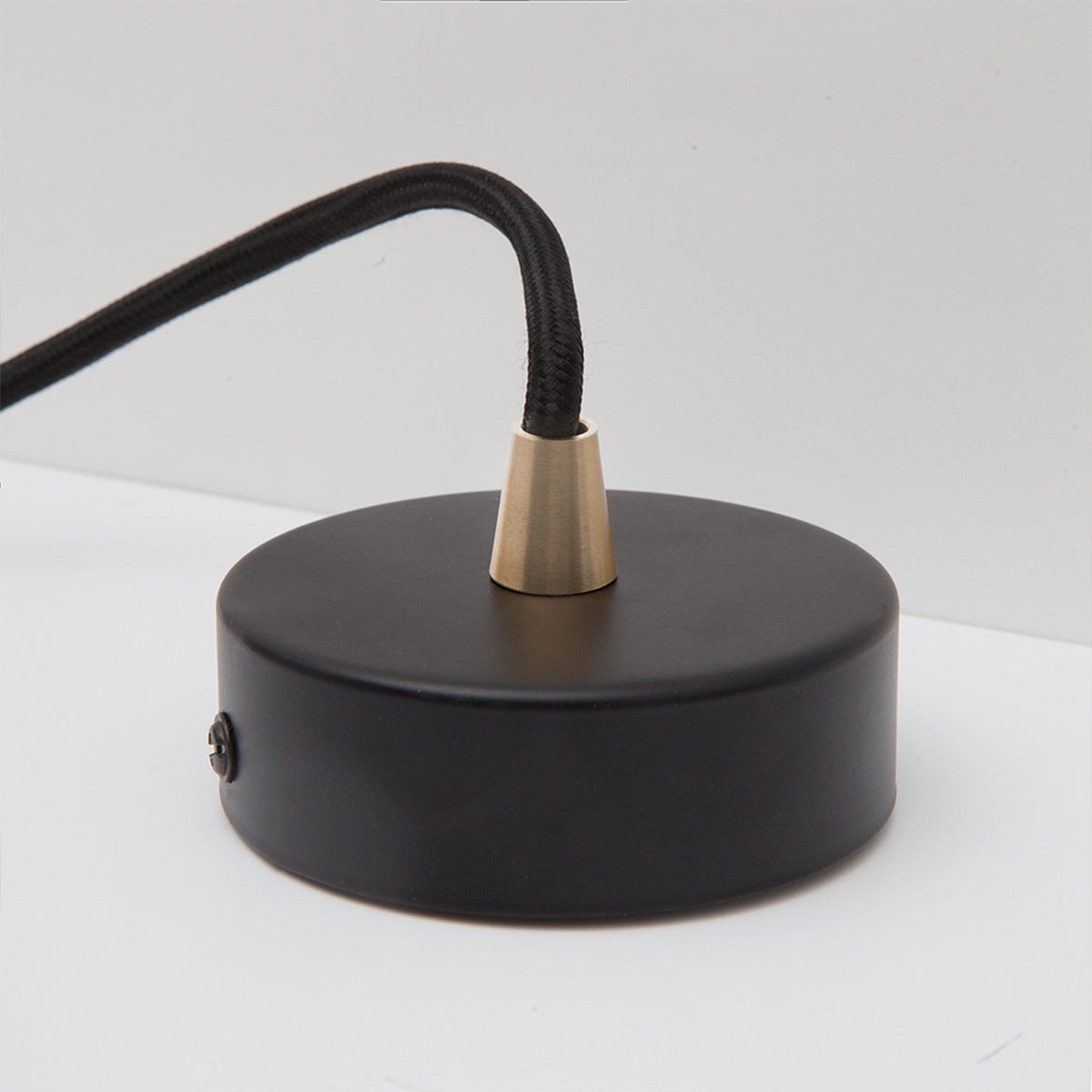 Tala Porcelain III Pendant Light in Graphite