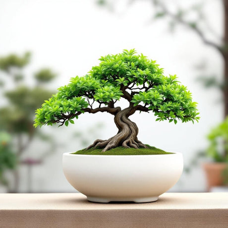 Filamora Studios Minimalist Curved Bonsai Pot