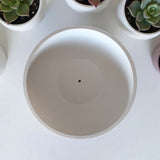 Filamora Studios Minimalist Curved Bonsai Pot