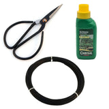 Yorkshire Bonsai Starter Kit – Complete Bonsai Care Tool & Growing Set