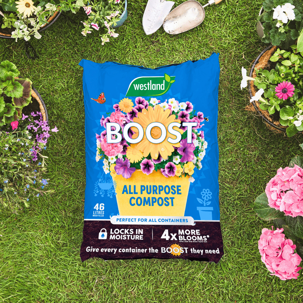Dandy's Boost All Purpose Compost 46L Bulk Buy for Garden & Planting