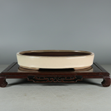 Yorkshire Bonsai Glazed Bonsai Pot Oval Cream - 26cm