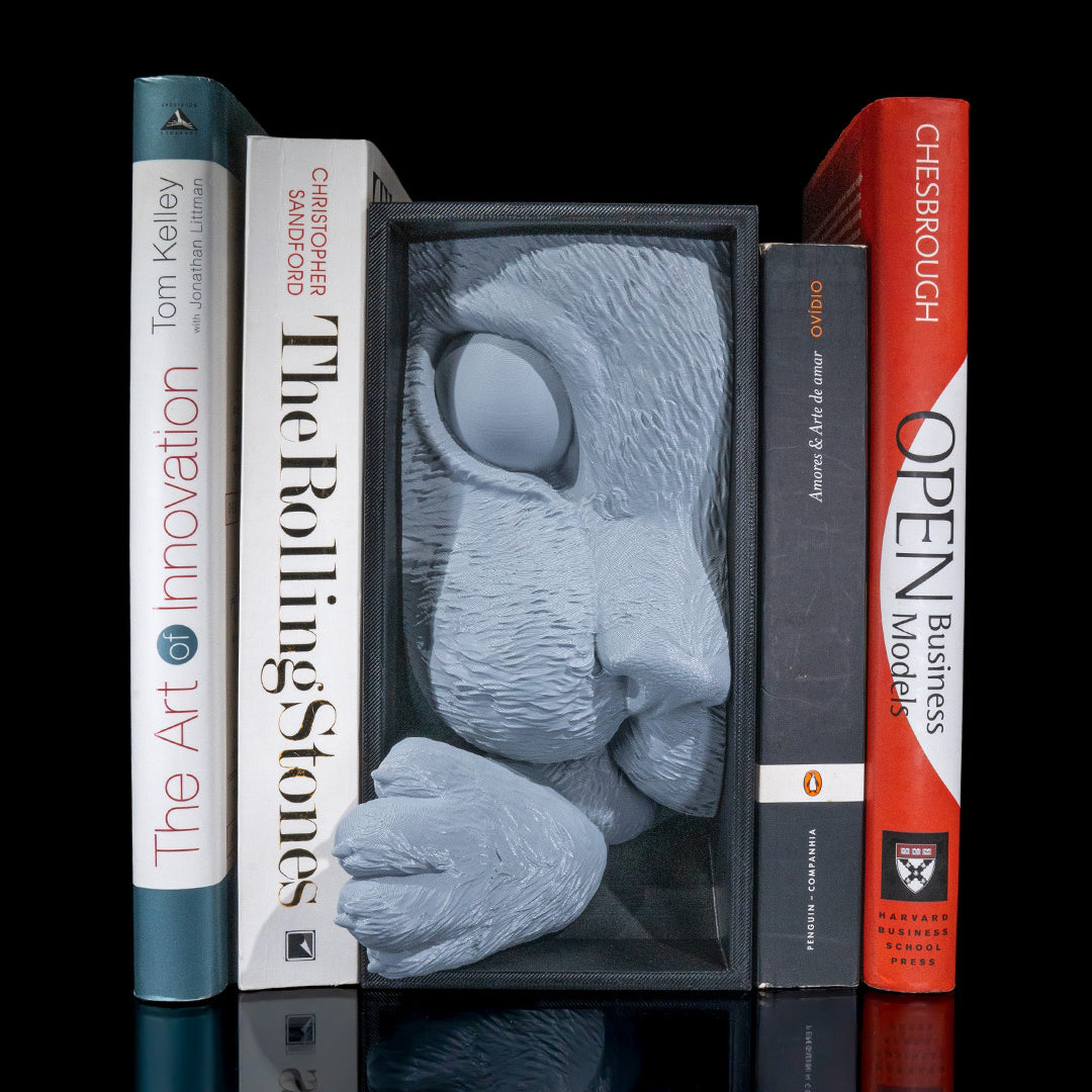 Filamora Studios Cat’s Curiosity Book Nook Shelf