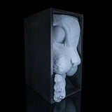 Filamora Studios Cat’s Curiosity Book Nook Shelf
