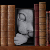 Filamora Studios Cat’s Curiosity Book Nook Shelf