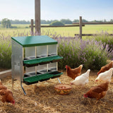Nicoman Metal Chicken Nest Box – Sturdy, Hygienic & Organised