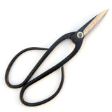 Yorkshire Bonsai Chinese Curved Handle Bonsai Shears - 205mm