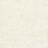Machine Washable Ghost Ivory Shaggy Rug by The Rugs