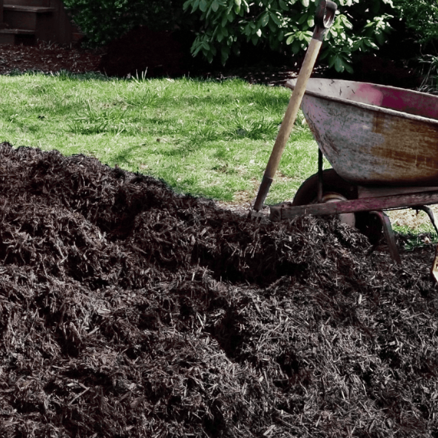 Dandy’s AutumnMix Compost Garden Mulch