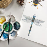 Dragonfly Greetings Card | Katie Hipwell Design