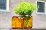 Lowlands Design Vase Mazurka Amber by DutZ