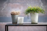 Lowlands Design Conic Vase Thick Glass with Bubbles