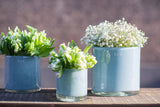 Lowlands Design C1 Glass Candleholder