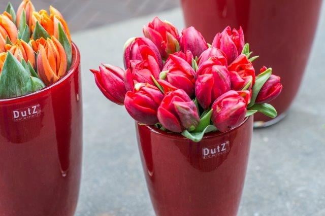 Lowlands Design Flowervase Red by DutZ