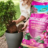 Dandy's Ericaceous Planting & Potting Mix 50L Bulk Buy