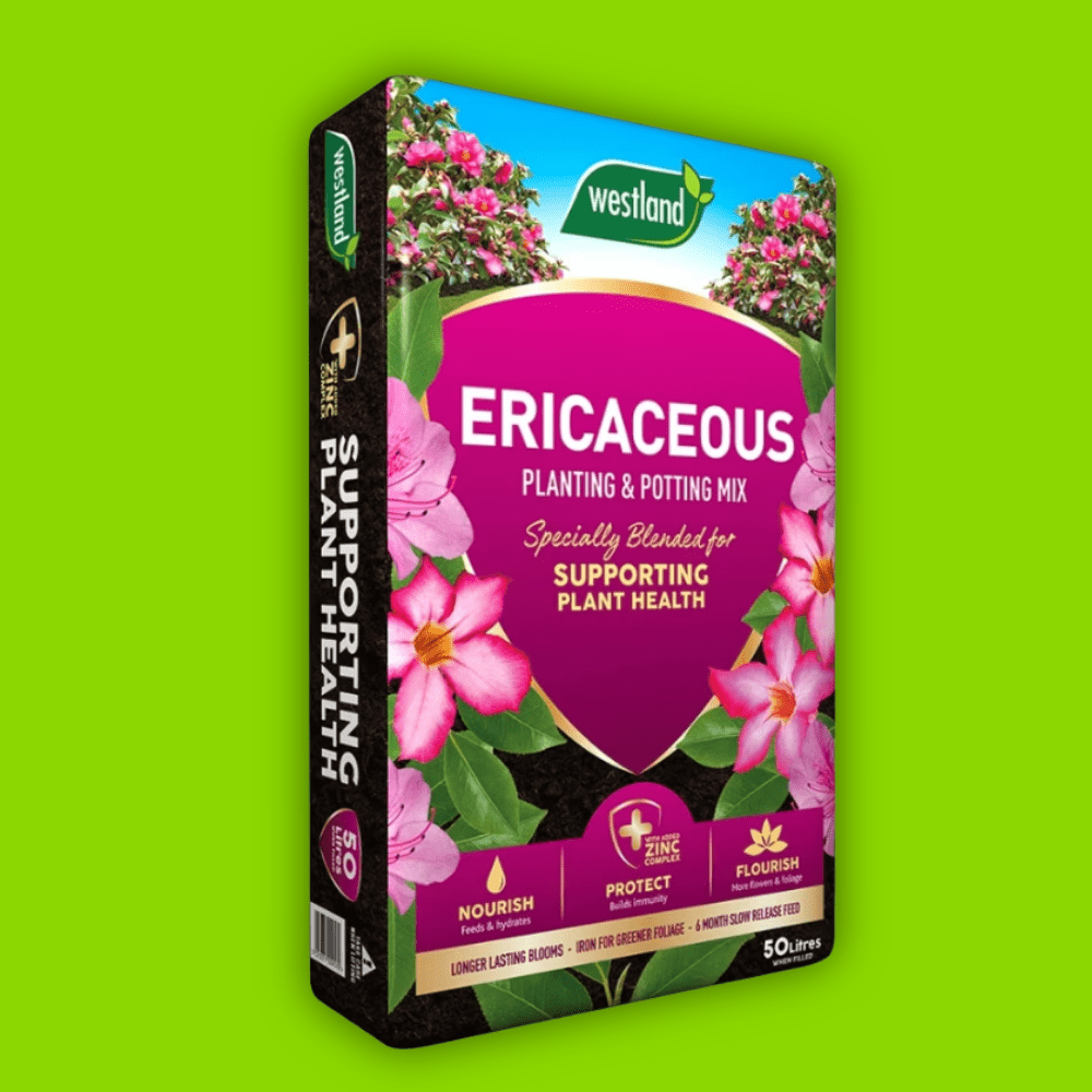 Dandy's Ericaceous Planting & Potting Mix 50L Bulk Buy