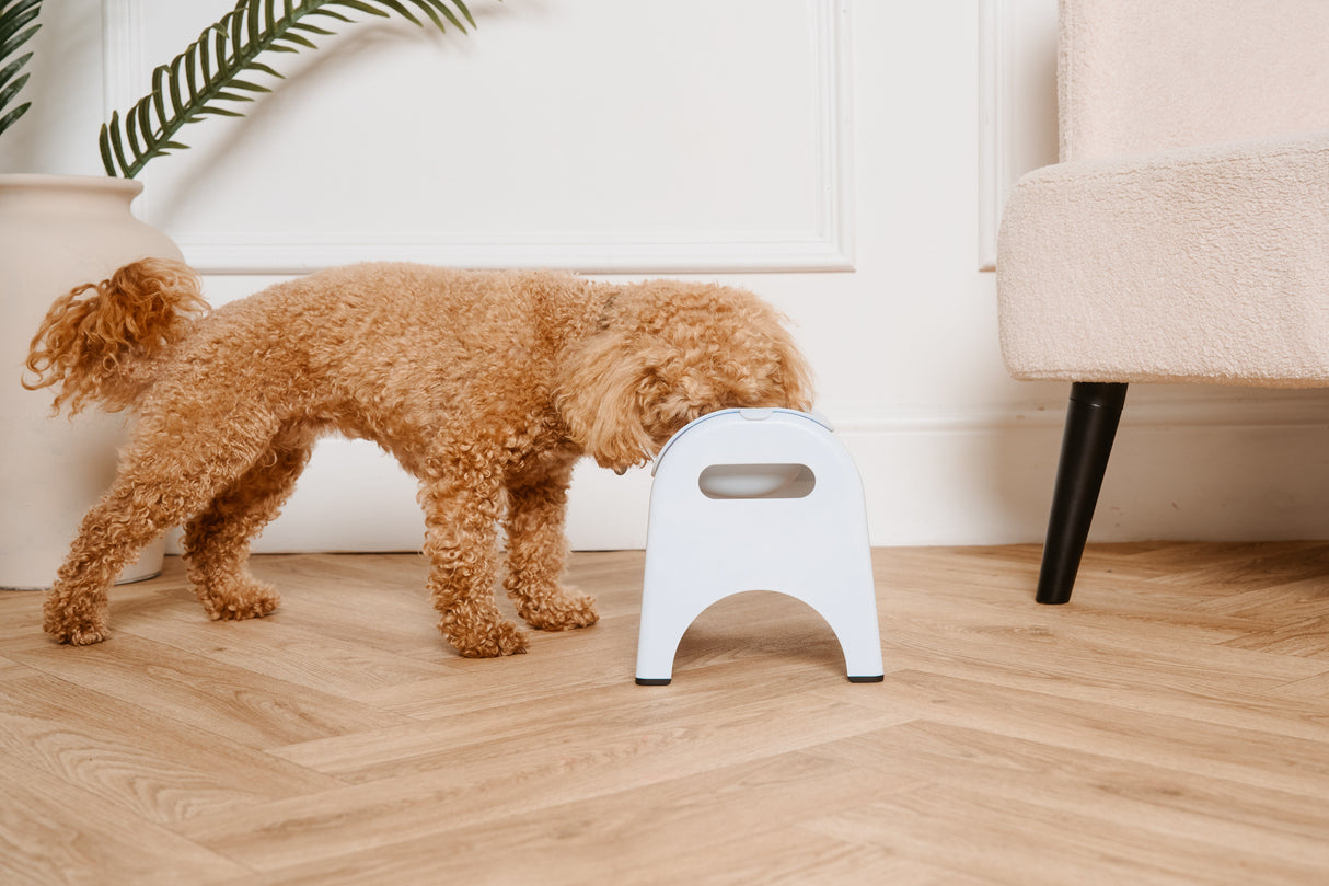 EasyEat Slow Feeder 4 Raised Pet Bowl for Dogs & Cats