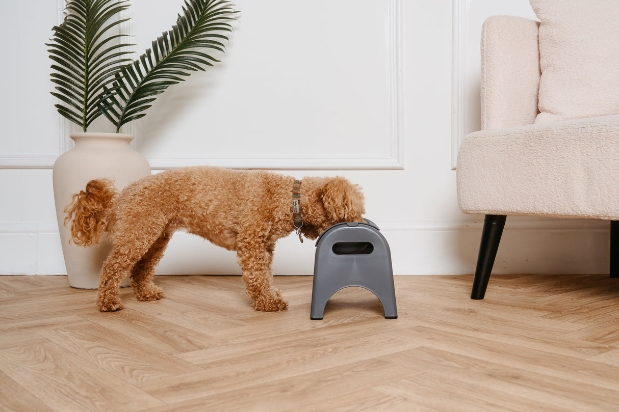 EasyEat Slow Feeding Bowl for Dogs & Cats