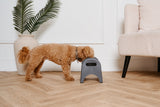 EasyEat Slow Feeding Bowl for Dogs & Cats