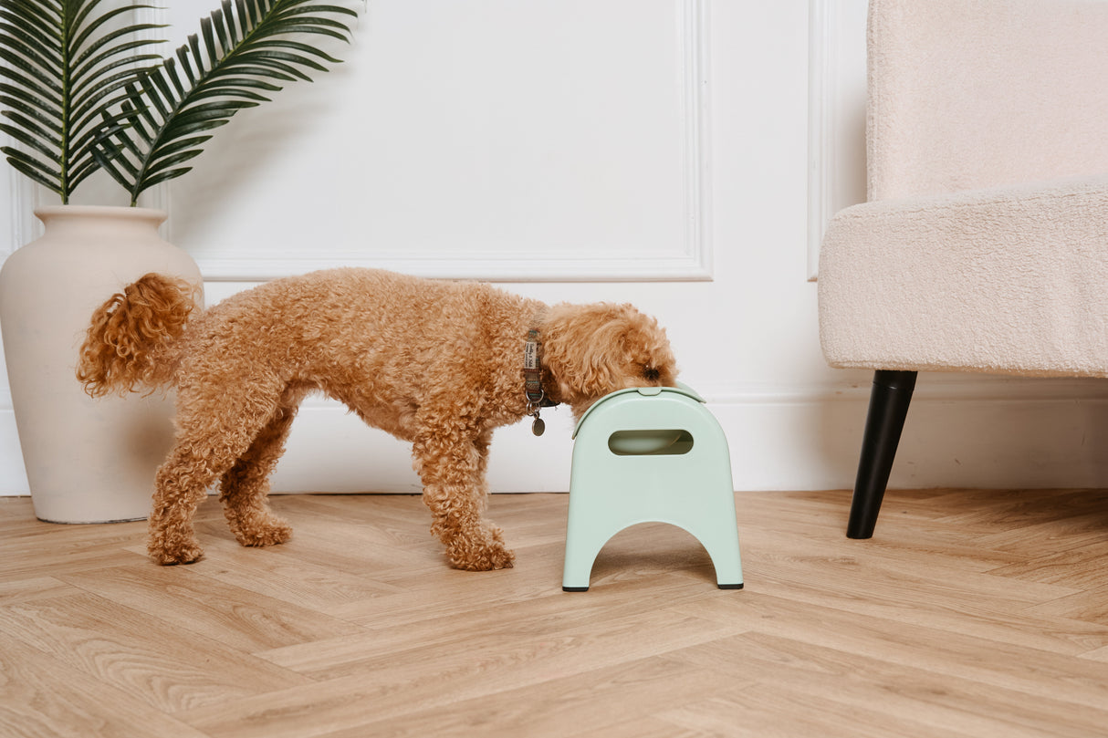 EasyEat Slow Feeder 5 Pet Bowl for Dogs & Cats