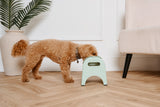 EasyEat Slow Feeder 5 Pet Bowl for Dogs & Cats