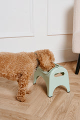 EasyEat 2.0 Elevated Pet Feeder - Sage Green