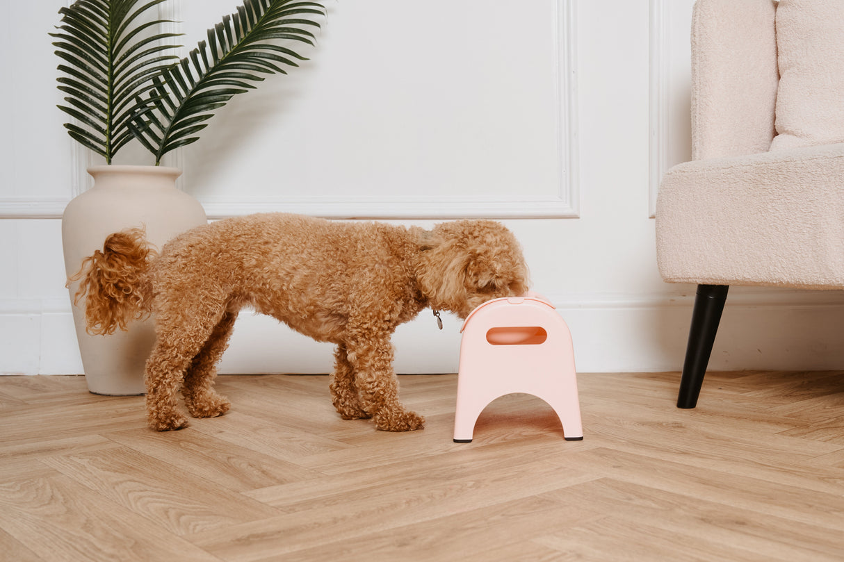 EasyEat 2.0 Slow Feeder Bowl for Dogs & Cats - Rose Pink