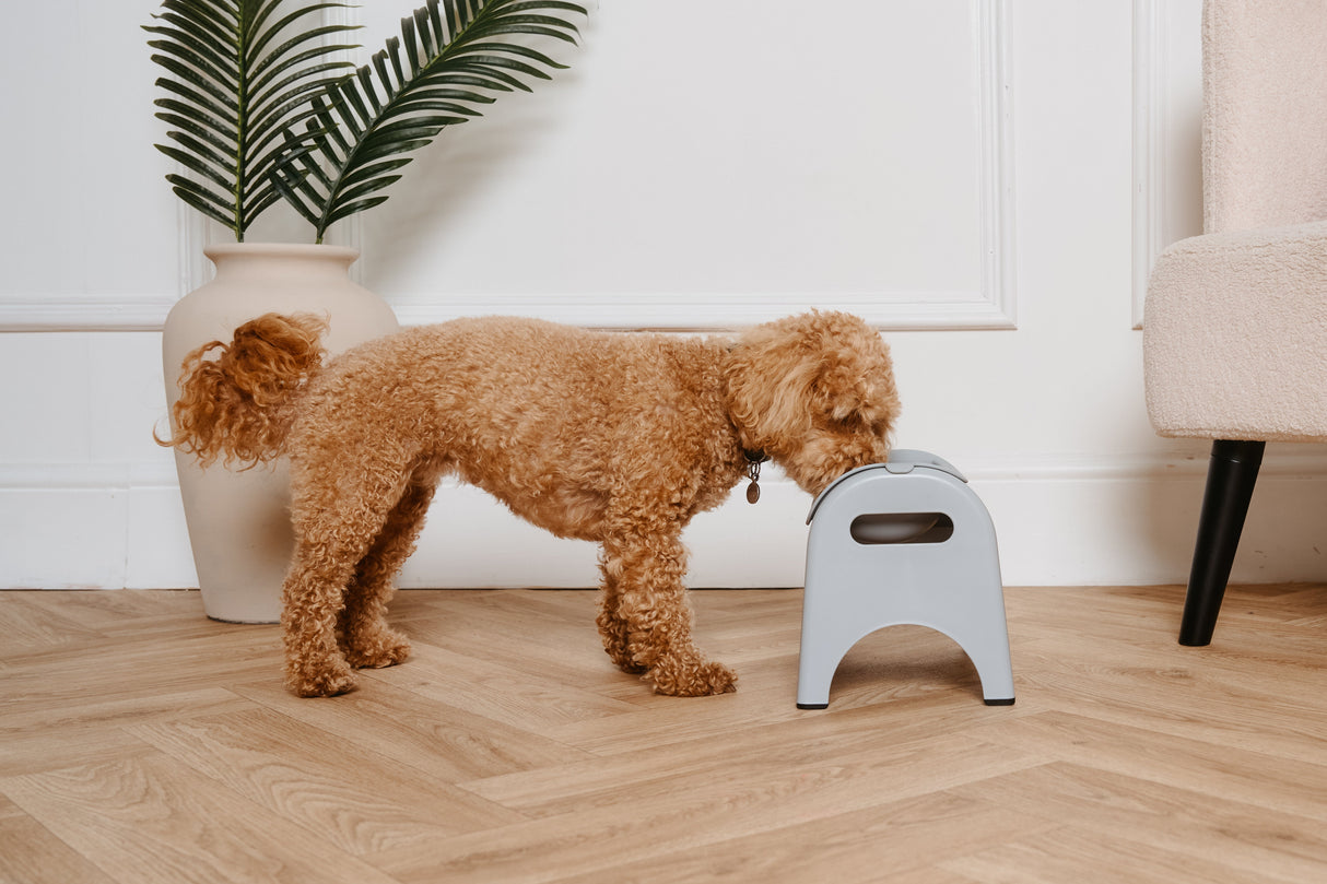 EasyEat Premium Slow Feeding Bowl for Dogs & Cats