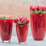 Lowlands Design Flowervase Red by DutZ