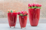 Lowlands Design Flowervase Red by DutZ