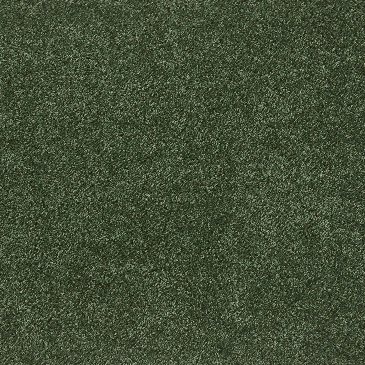 Washable Forest Green Shaggy Rug by The Rugs