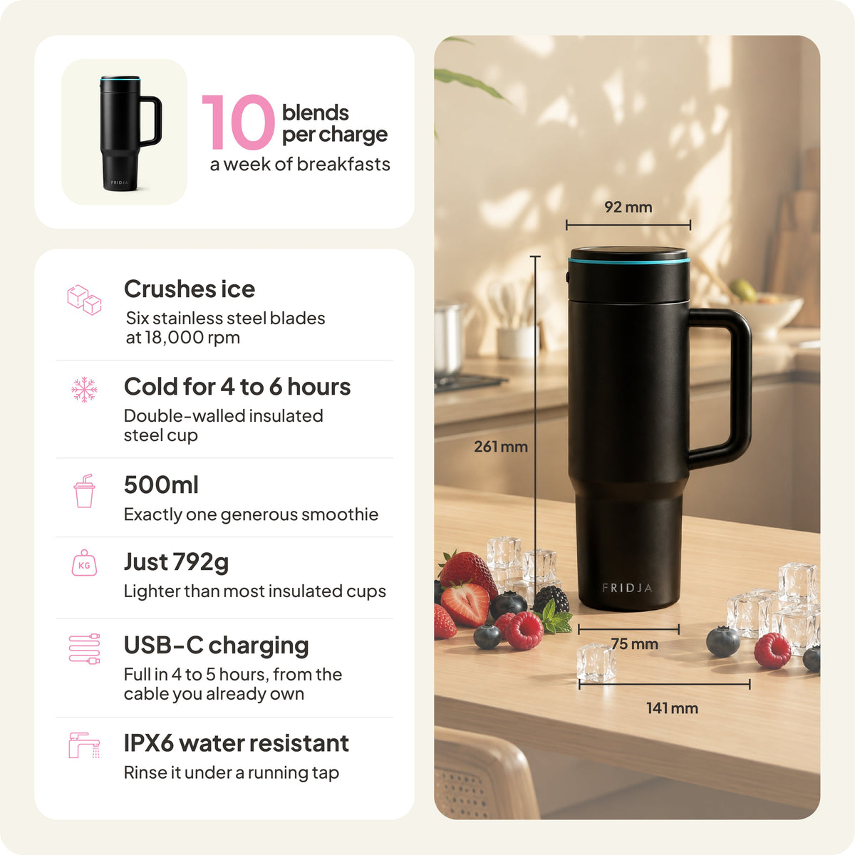 Fridja F600 Stainless Steel Portable Blender