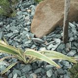 Dandy's Welsh Green Crushed Slate Chippings 40mm Bulk Bag
