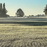 TurfStore HF2 Ryegrass Fairway Overseeder Grass Seed Mix