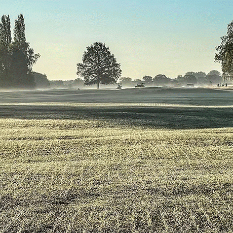 TurfStore HF2 Ryegrass Fairway Overseeder Grass Seed Mix