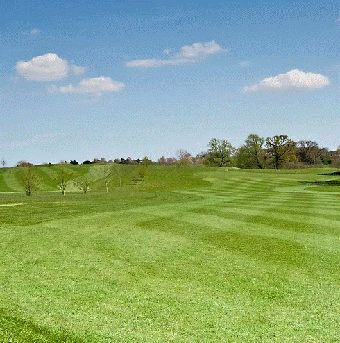 TurfStore HF3 Eco Fairway Overseeder Grass Seed Mix