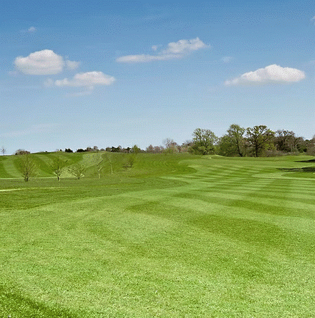 TurfStore HF3 Eco Fairway Overseeder Grass Seed Mix