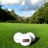TurfStore HG1 Premium All Bent Greens Grass Seed Mix