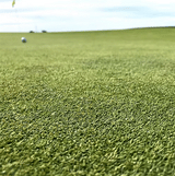 TurfStore HG2 Creeping Bent Grass Seed Mix