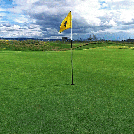 TurfStore HG.3 Fescue Bent 80:20 Greens Grass Seed Mix