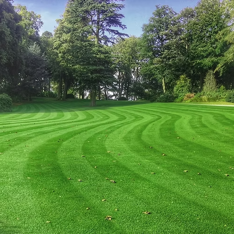 TurfStore HM3 Hard Wearing Lawn Grass Seed Mix for Strong Family Lawns