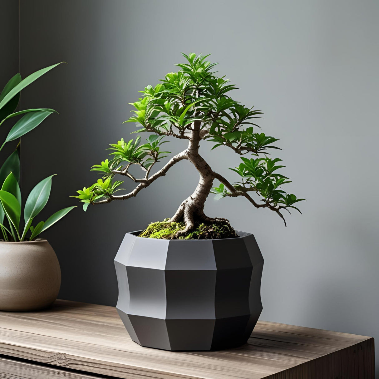 Filamora Studios Minimalist Decagonal Flowerpot