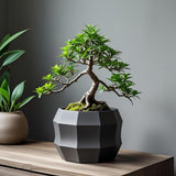 Filamora Studios Minimalist Decagonal Flowerpot