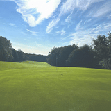 TurfStore HPG CSI Turf Perennial Greens Grass Seed Mix