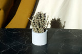 Gloria Home Concrete Cylinder Tealight Holder & Pot